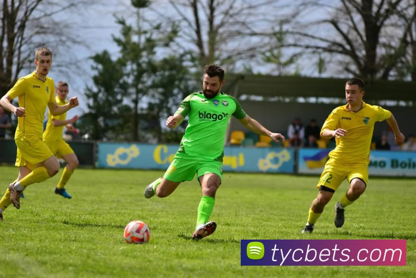 多媒体互动体验